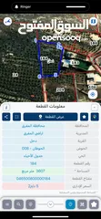  2 ارض زراعية مطلة، مزرعة زيتون ، منطقة فلل، على اوتستراد الزرقاء جرش ب قرية دحل