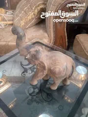  21 مناظر حيوانات للبيع بسعر مغري