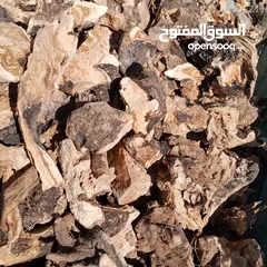  9 حطب زيتون يابس لمطاعم الزرب