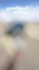  25 هونداي توسان N-Line    2023/ فل الفل بدون فتحة سقف بانوراما  فل مسكر