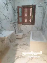  3 فيله تجاريه