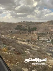  8 كوشان طابو فلسطيني
