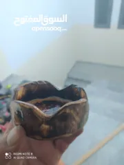  21 فحمه جنين أبو قصي