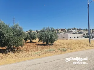 6 ارض للبيع 529م في اجمل مناطق المملكه بدر الجديده (الغروس الغربي)