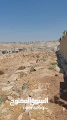 5 قطعة ارض للبيع في مرج الغزلان