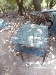  6 فرن طابون متحرك صنع من طين طول 85 العرض 65 سم صاج مقلفن بشتغل ع حطب وع غاز