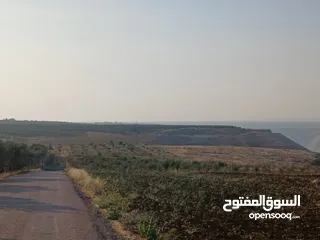  18 مزرعه أربعه دونم مشيكه بالكامل ارض زراعيه وبيت ريفي غرفتين وحمام ومطبخ صغير وباربكيو وساحه واسعه