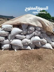  2 تبن بيجة وزن الشوال 13/14/15