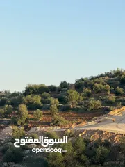  6 للبيع 3500م ثلاث دنم ونصف منطقة نادرة شرق جرش