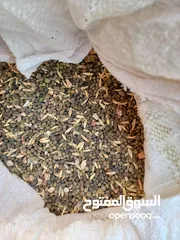  1 يوجد حب بيقا للبيع تقريبا 250كيلو