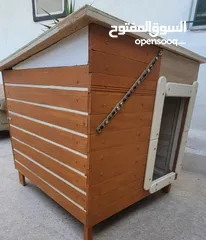  8 تفصيل أكواخ وبيوت للكلاب والقطط
