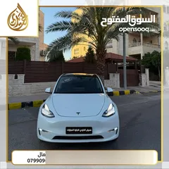  2 تيسلا 2021 بدفعة اولى 2500 TESLA MODEL Y