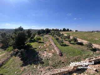  12 فرصة العمر مزرعة زيتون راقية  طريق اربد عمان كافه الخدمات 17 دونم و نص منتجه