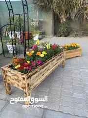  2 اصايص خشبية .. اصيص ، اشجار ، زراعه