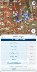  1 قطعة أرض مميزة 12 دونم في محافظة جرش / كفر خل بسعر مميز