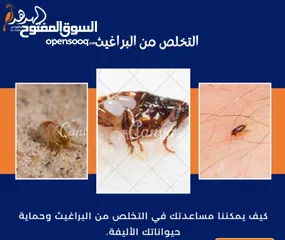  7 شركة الهدهد لمكافحة الحشرات والقوارض والتعقيم وتنسيق الحدائق وخدمات النظافة بخدمتكم