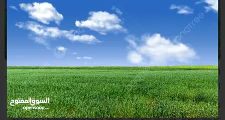  1 أرض حلوة ومرتبة.ع مستوى الشارع