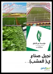  1 ملاعب رياضيه عشب صناعي
