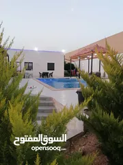  1 مزرعه اللؤلؤه