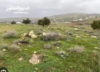  2 أرض لها إطلالة ساحرة .كاشفة الطيبة