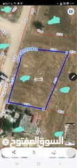 29 حوض 17 طبول كوتيه اطلاله مرتفعه تكشف الحصن واربد صخريه على كيرف واجهة القطعه 41 م منطقة بيوت مستقله