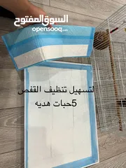  24 كنيور شوف الوصف والصور عدل