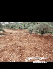  1 قطعة ارض من اراضي عين سينيا تصنيف تجاري