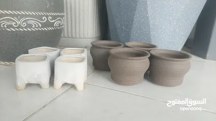  19 قواوير زراعية بسعر الجمله