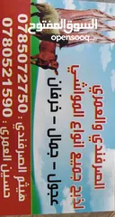  1 ذبح عجول وجمال