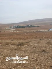  8 للبيع قطعه ارض مساحته 21 دنم المفرق الفدين