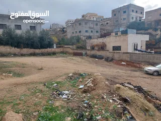  1 قطعة أرض سكنية تنظيم سكني ج في عين الباشا حي الملك عبدالله