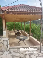  28 مزرعه فاخره تل الرمان منطقه مزارع الخير