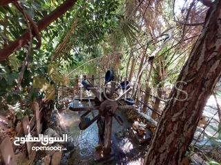 25 منتزه و مطعم مرخص للبيع عمان - البحاث مرج الحمام على مساحة ارض 4000م