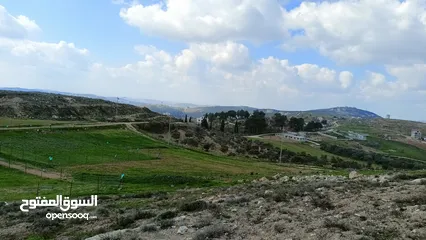  3 نمرتين ارض للبيع