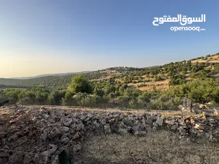  18 مزرعه للبيع / عجلون / رأس منيف