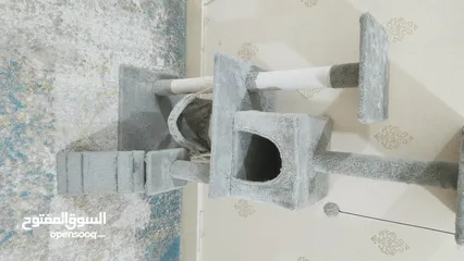  2 للقطط مستعمل شي بسيط بحاله ممتازه CAT TREE for cats and kittens in good condition