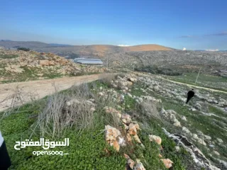  1 نمرة أرض للبيع او البدل ع سيارة بمنطقة روجيب مساحتها 600متر  واصلها خدمات  طابو نابلس