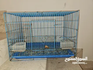  3 Birds cage