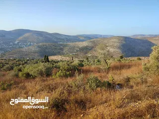  3 للبيع قطعة ارض من اراضي اجنسنيا مساحتها 5 دونم و 954 متر كوشان طابو مستقل