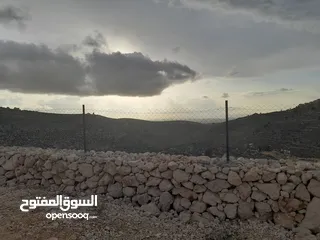  2 1800م ارض في خرسة دورا الخليل