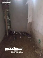  3 حمام بلدي نخب