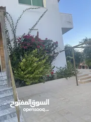  10 ارض دونم مع بيت ارضي وبيت طابقين