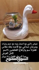  3 حواض مع قاعده
