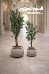  10 قووير جميع الاشكال والالوان