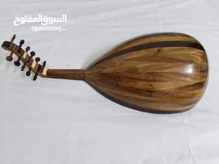  6 عود عراقي للبيع عود عراقي