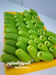  20 مطبخ ام علي للتواصي