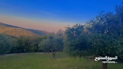  3 قطعه ارض للبيع من المالك مباشره ذات اطلاله بانوراما خلابه مفروزه