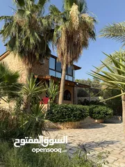  1 مزرعة وشاليه القريه