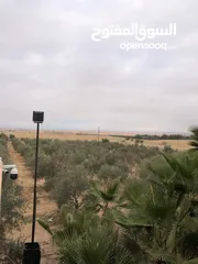  10 مزرعة مميزة و مشجرة للبيع بسعر مغري
