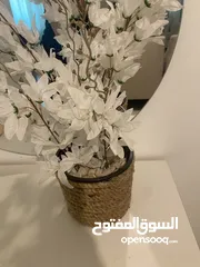  5 اغراض متنوعة للبيت واحذية